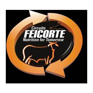 [Circuito Feicorte]